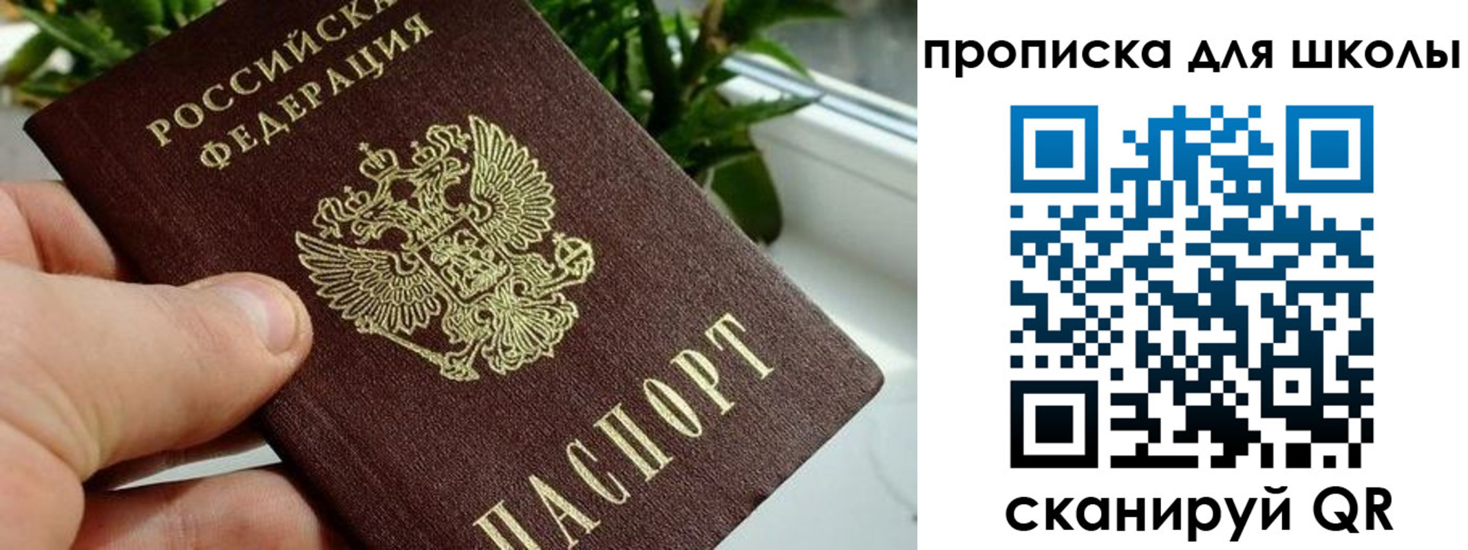 регистрация для дет. сада в Светлом